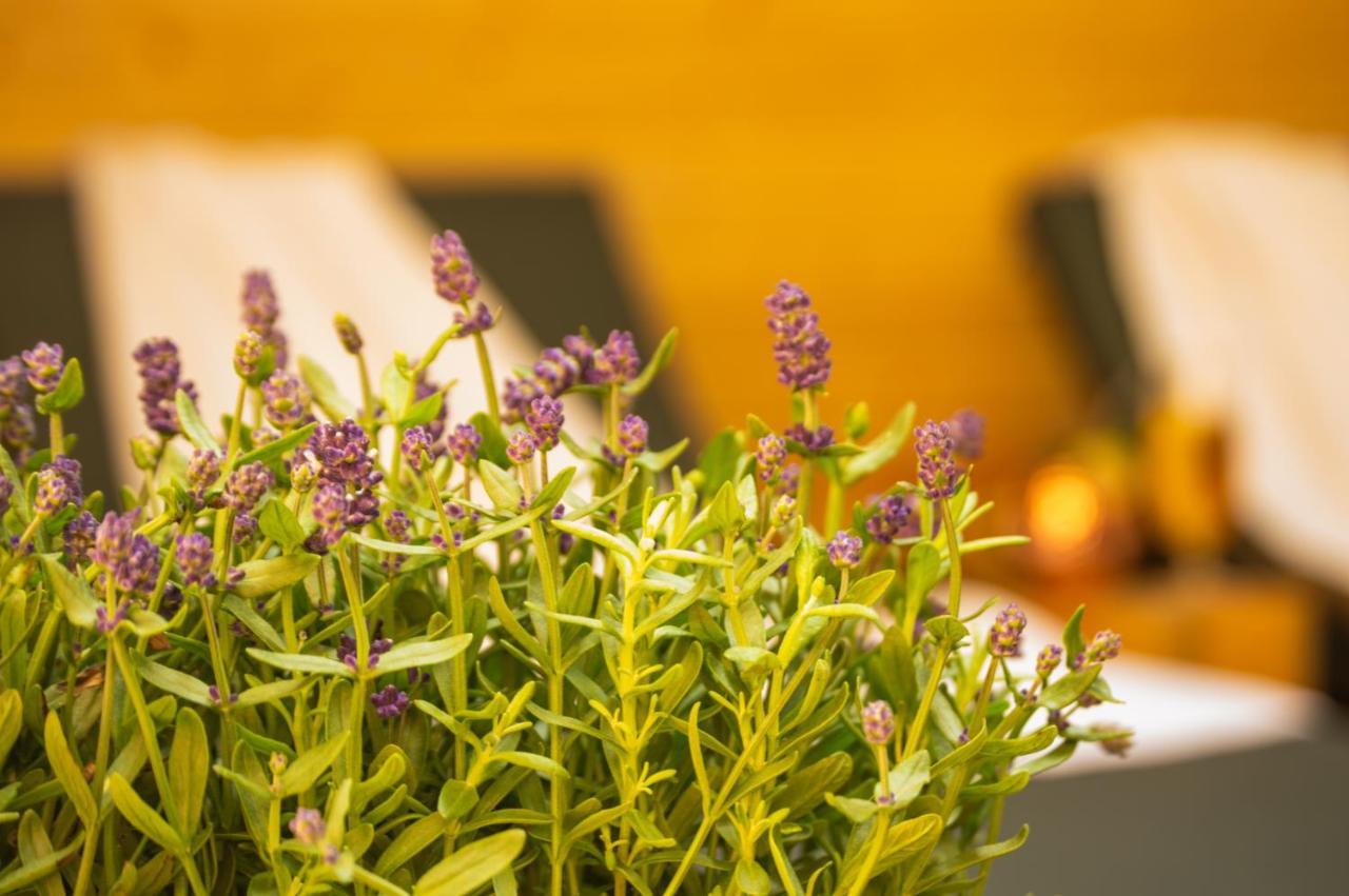 Wellnessoase Mitten In Triberg Triberg im Schwarzwald Екстер'єр фото